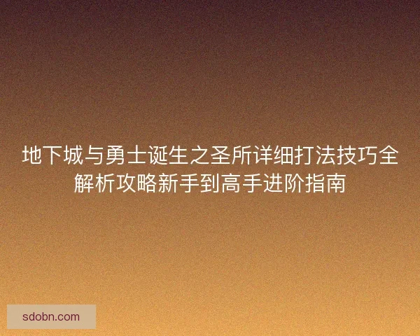 地下城与勇士诞生之圣所详细打法技巧全解析攻略新手到高手进阶指南