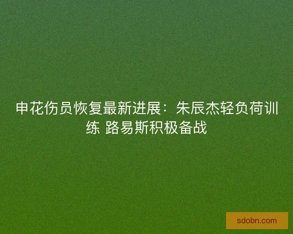 申花伤员恢复最新进展：朱辰杰轻负荷训练 路易斯积极备战