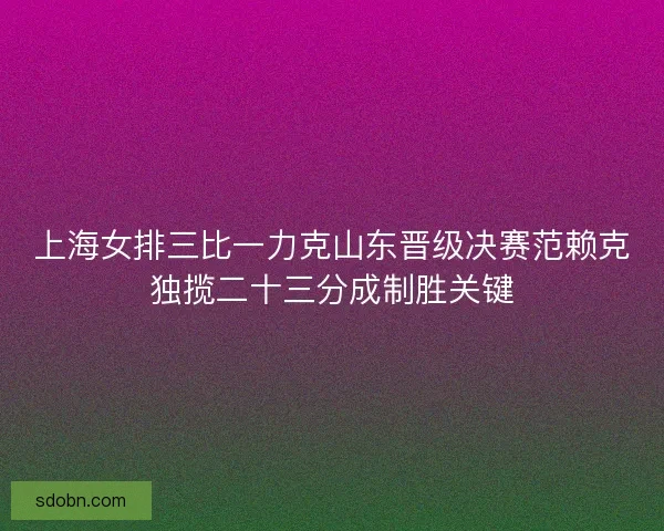 上海女排三比一力克山东晋级决赛范赖克独揽二十三分成制胜关键