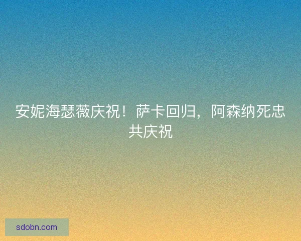 安妮海瑟薇庆祝！萨卡回归，阿森纳死忠共庆祝