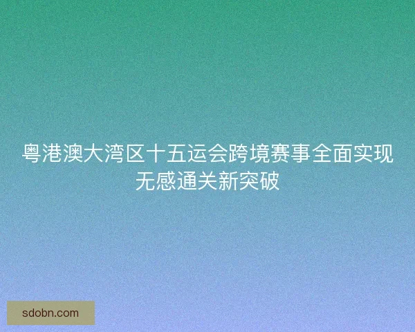粤港澳大湾区十五运会跨境赛事全面实现无感通关新突破