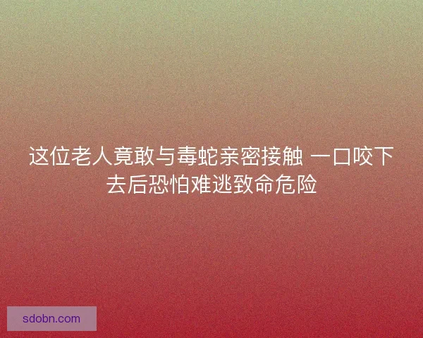 这位老人竟敢与毒蛇亲密接触 一口咬下去后恐怕难逃致命危险