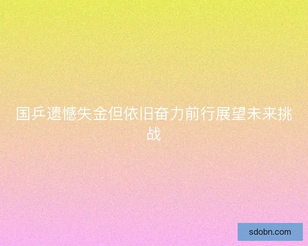 国乒遗憾失金但依旧奋力前行展望未来挑战